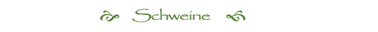 Schweine, Bronchitis